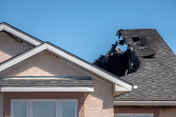 Top rated local Fire Damage Removal specialists in Milford, NJ